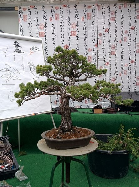 2014-03-16 12.08.54_kl.jpg