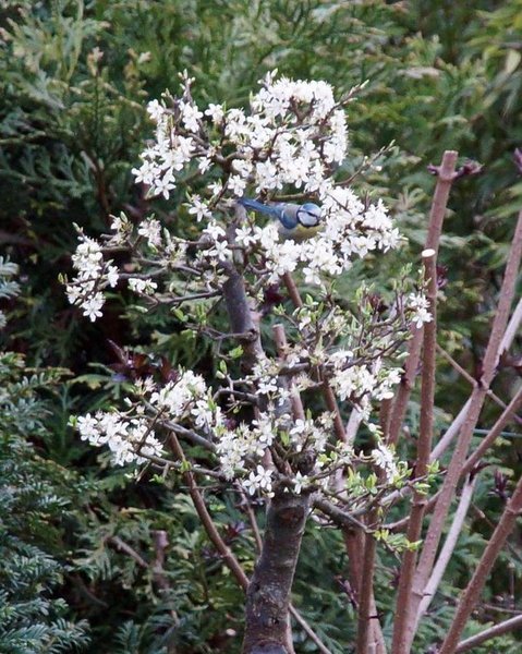 DSC07777.JPG