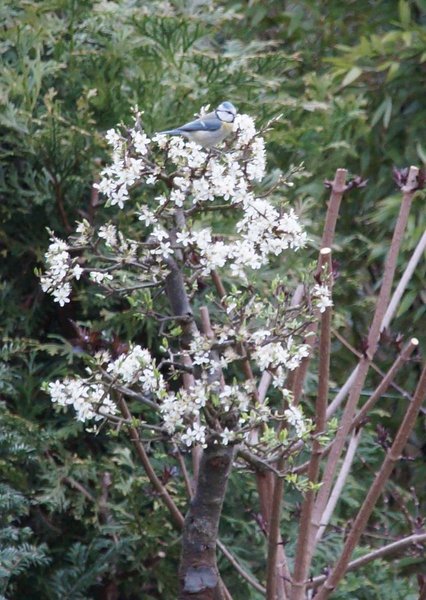 DSC07825.JPG