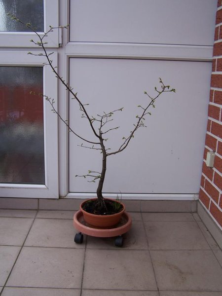 K800_24.03.2014.JPG