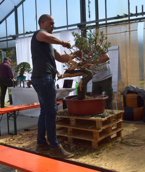 Mauro Stemberger in action