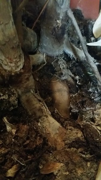 20140330_175528.jpg