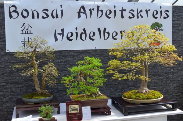 Der 3. Preis an den AK HD