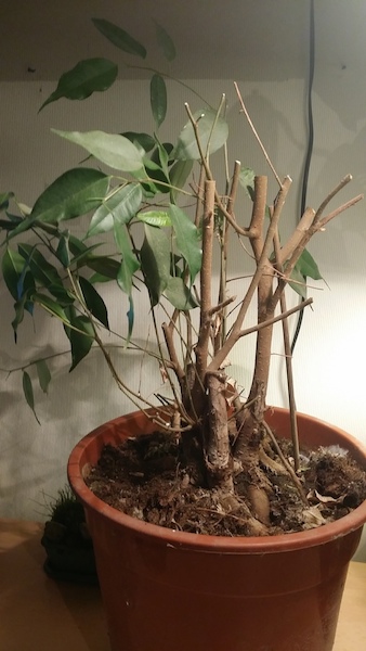 20140330_204708.jpg