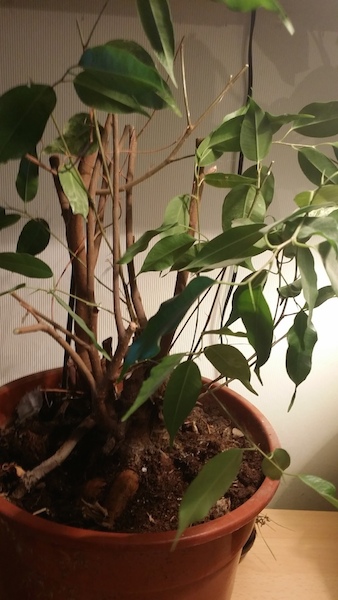 20140330_204735.jpg
