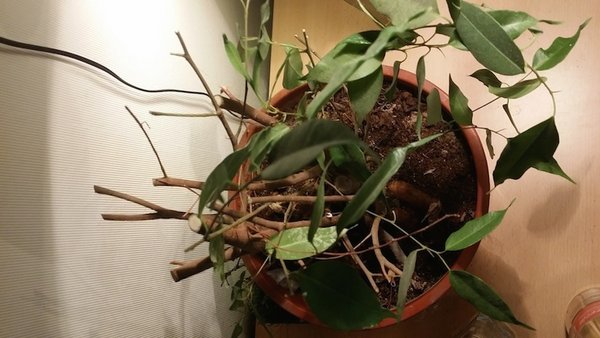 20140330_204913.jpg