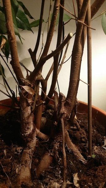 20140330_204720.jpg