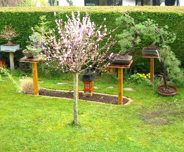 garten,frühjahr14,a.jpg