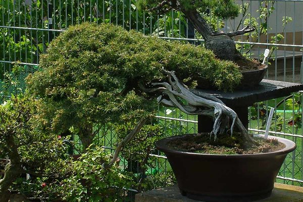 DSCF3301.jpg