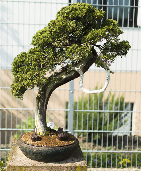 DSC_3798.jpg