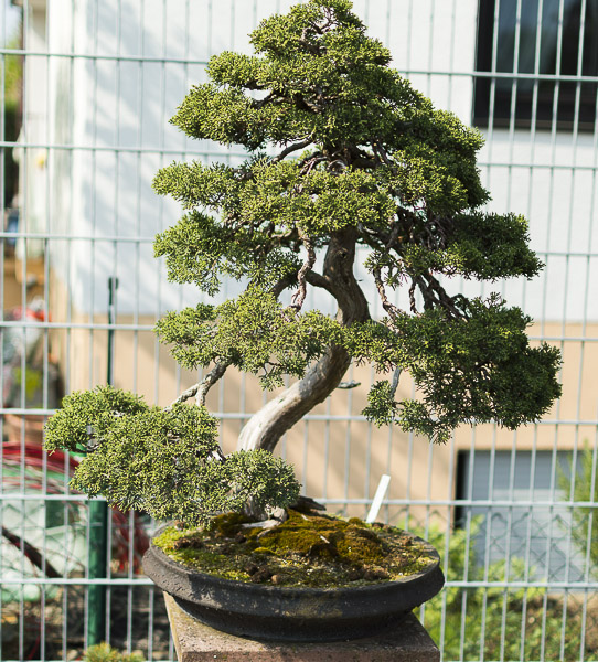 DSC_3799.jpg