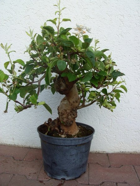 Mai 2013