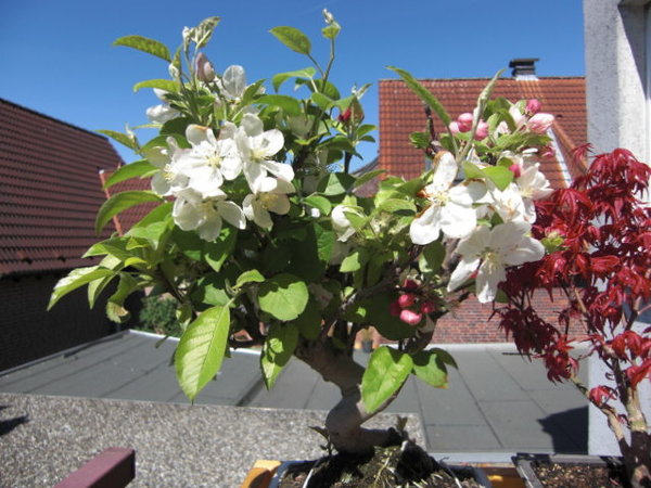 CIMG0485.JPG