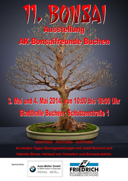 11. Bonsaiausstellung klein.jpg