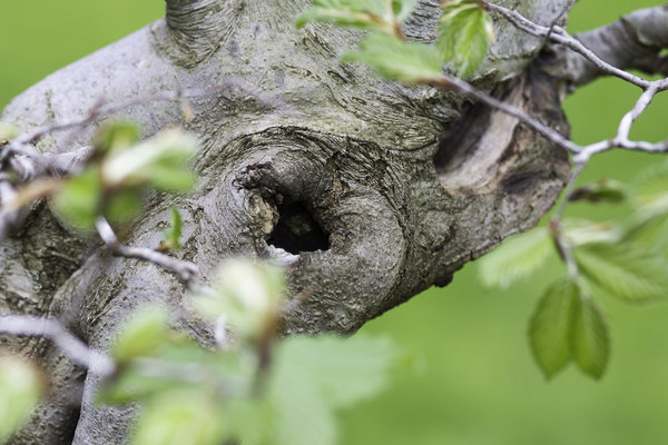 20140501-IMG_9155.jpg