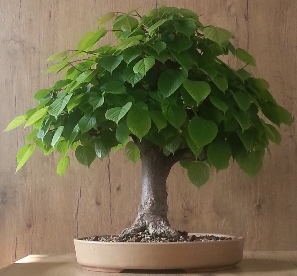 20140501_172818.jpg