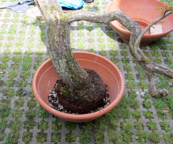 Mai2013.JPG