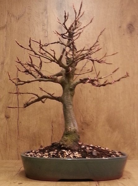 20140418_175747.jpg