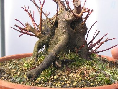 20060225124030_533x400_400x300.JPG