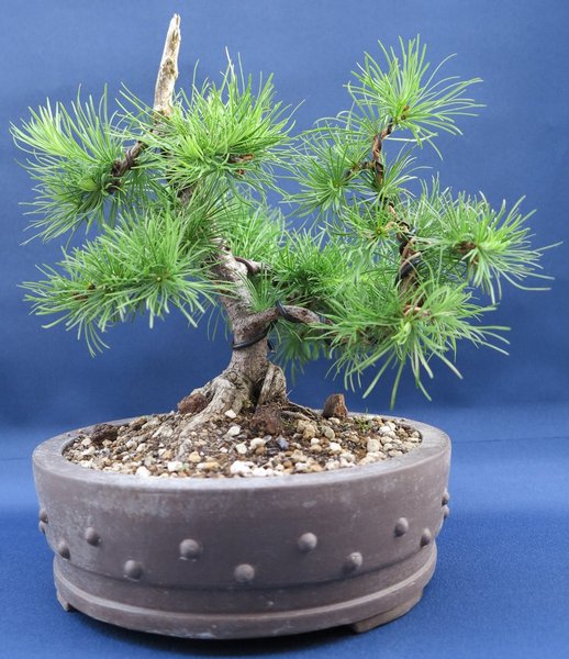 Mai 2014