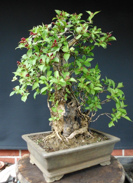 DSCI0277.JPG