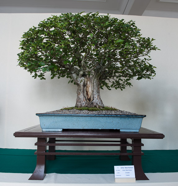 20140516-_DSC6150.jpg