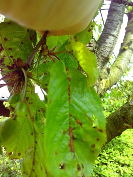 IMG_20140518_160022.jpg