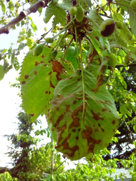 IMG_20140518_160134.jpg