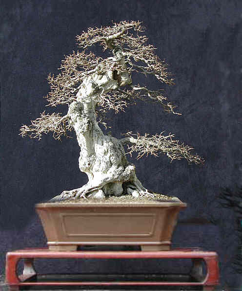 DSCN2814v2.jpg