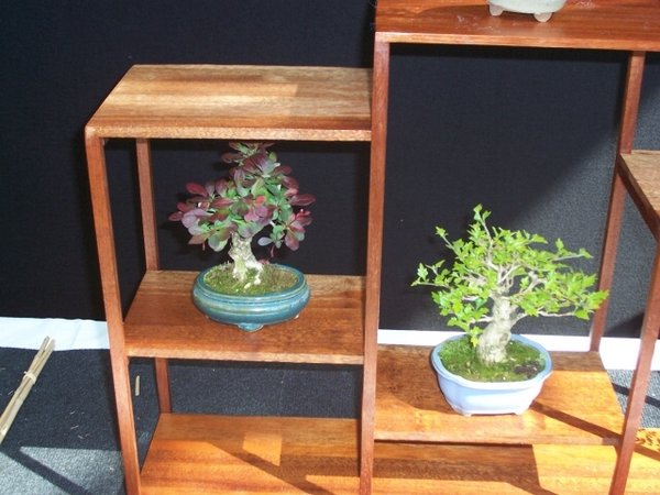 29. Shohin Display.jpg