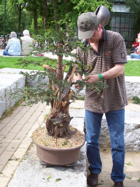 45. Eibenbrummer.jpg