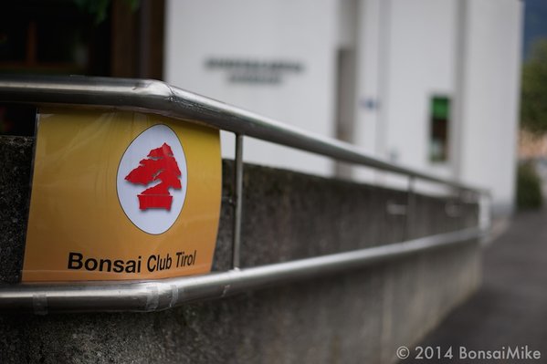 bonsai-club-tirol-Ausstellung-2014-2.jpg