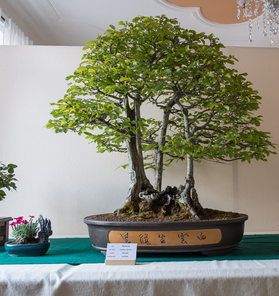 20140516-_DSC6129.jpg