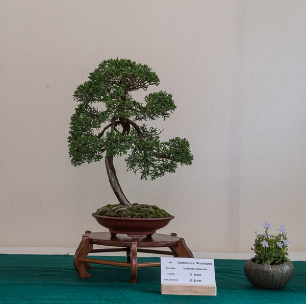 20140516-_DSC6126.jpg