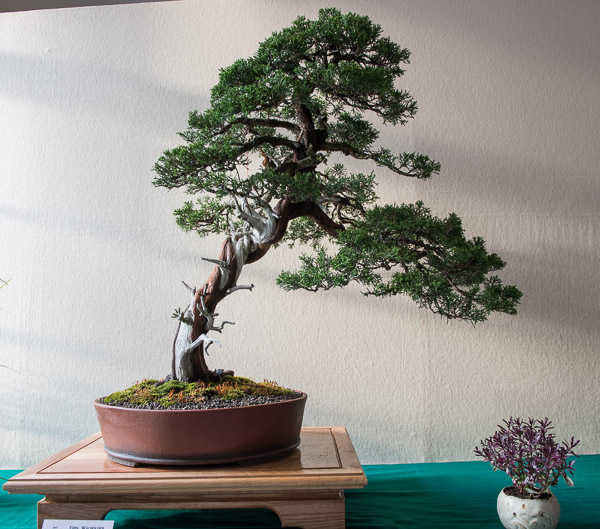 20140516-_DSC6113.jpg