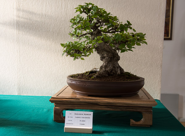 20140516-_DSC6112.jpg