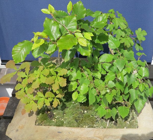 2014-05-20-b_.jpg