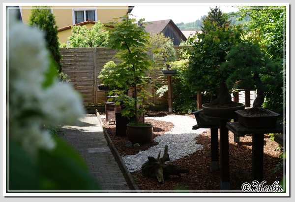 MerlinGarten22_05_2014_1.jpg