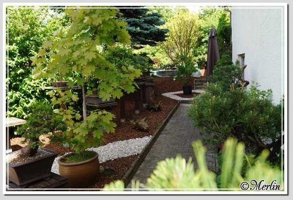 MerlinGarten22_05_2014_8.jpg