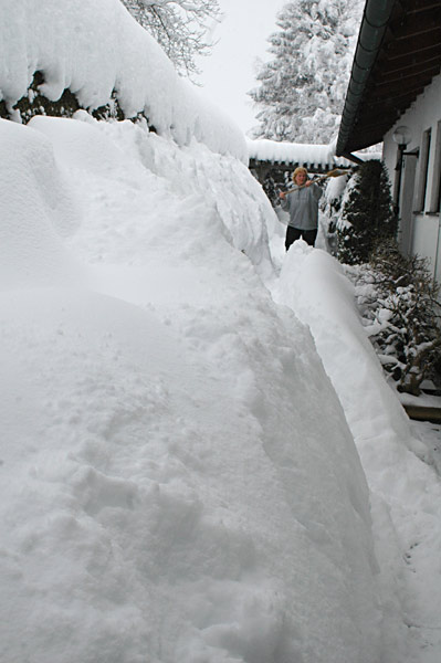 Dsc_2883v.jpg
