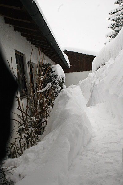 Dsc_2882v.jpg