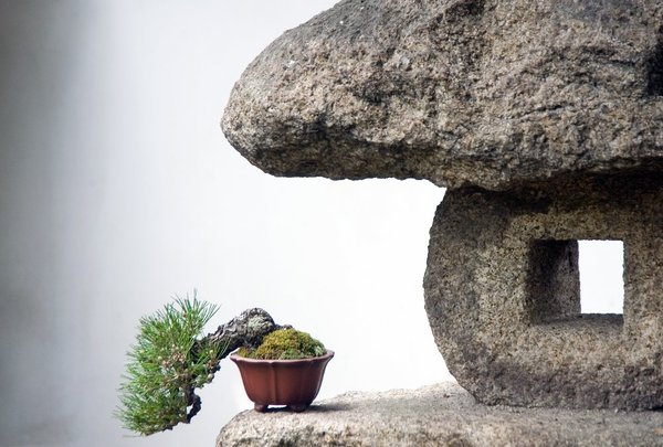 WIW_PW_Laterne_Shohin.jpg