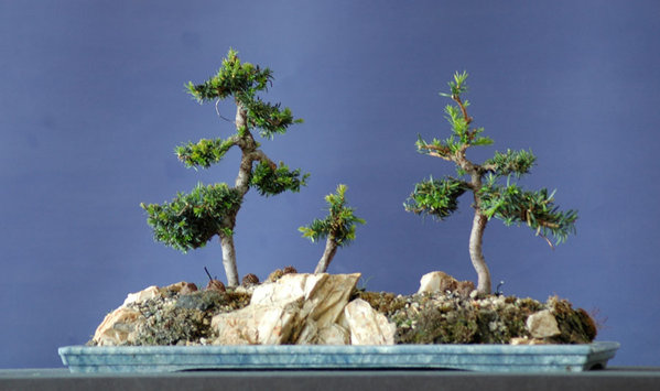 E-Wald0514.jpg