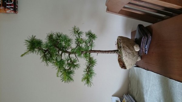 2014052906034800.jpg