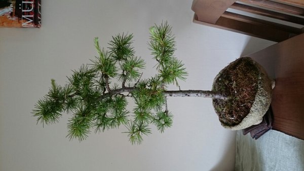 2014052906033100.jpg