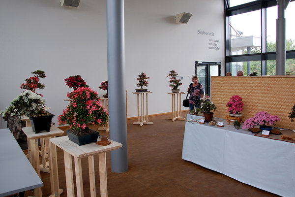 2.3-Ausstellung.jpg