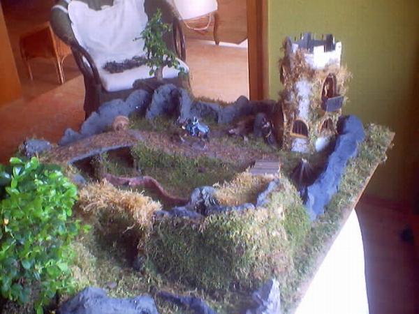 3_0144.jpg