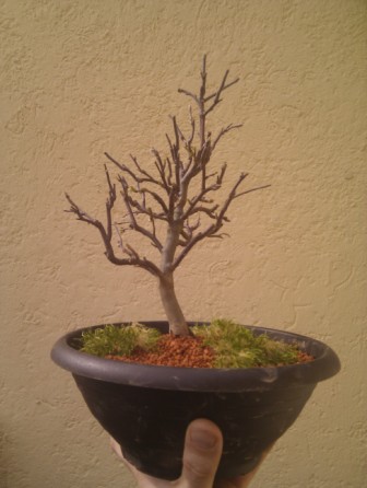 2012-03-19.jpg