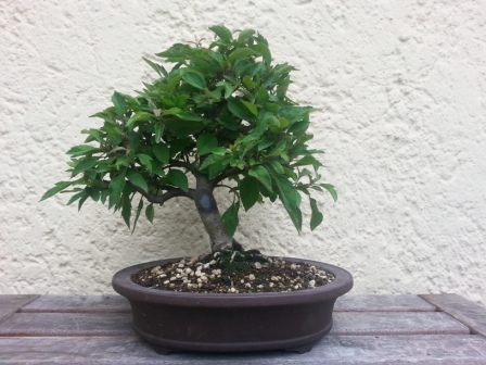 2014-06-03.jpg