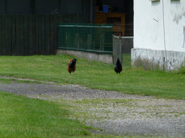 ...und gehen